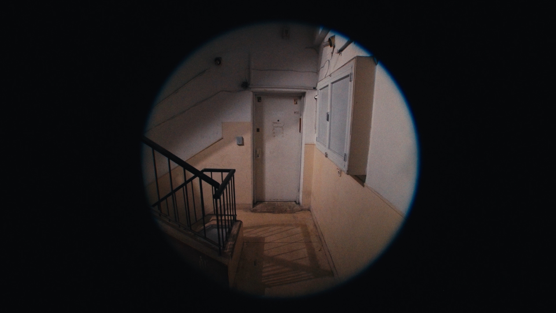 Eggshell still 4