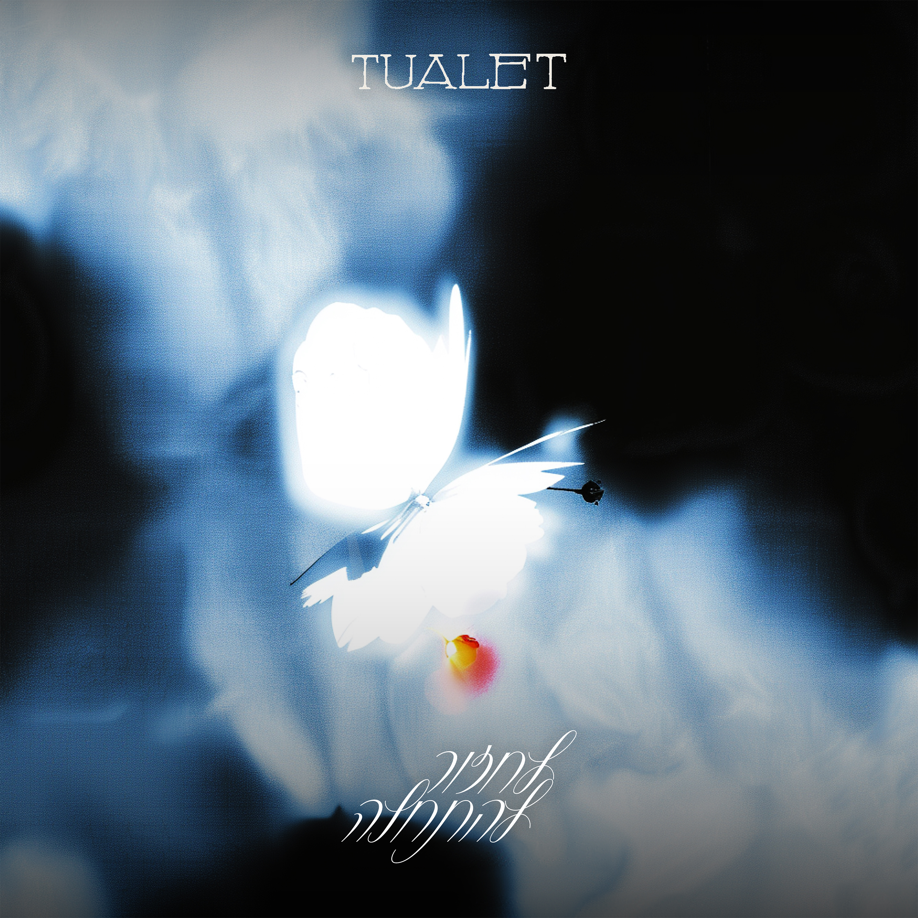 Tualet 3